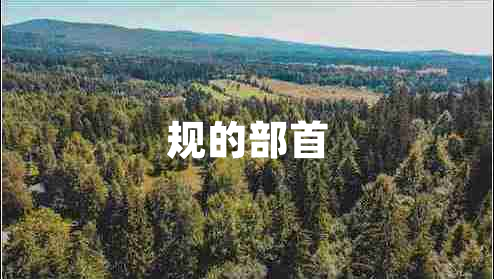 规的部首 规的部首