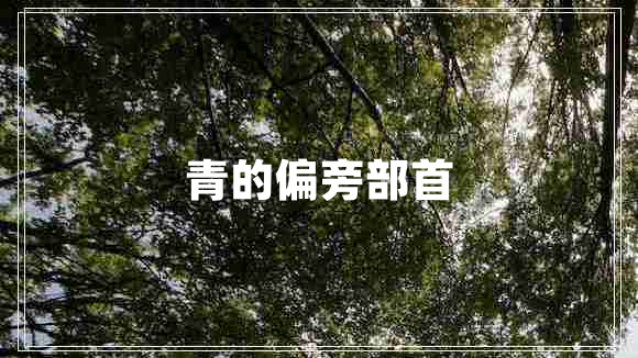 青的偏旁部首