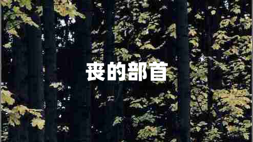 丧的部首
