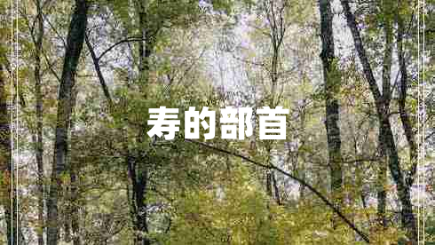 寿的部首 寿的部首