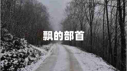 飘的部首