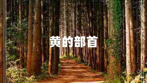 黄的部首