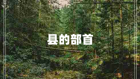 县的部首