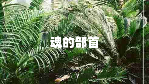 魂的部首