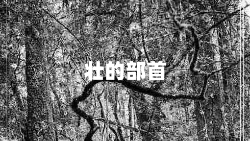 壮的部首