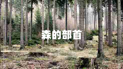 森的部首