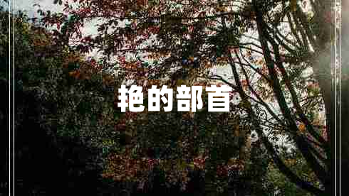 艳的部首