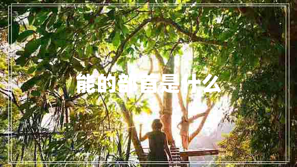 能的部首是什么 能的部首是什么