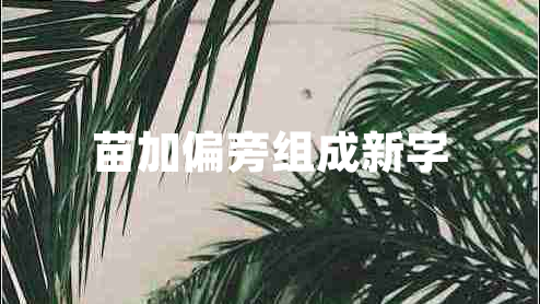 苗加偏旁组成新字