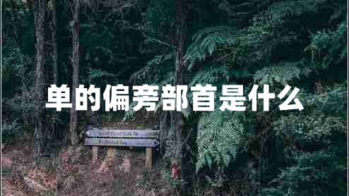 单的偏旁部首是什么