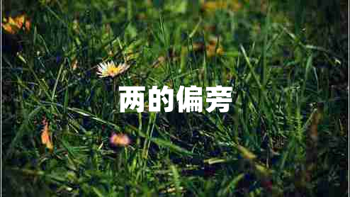 两的偏旁