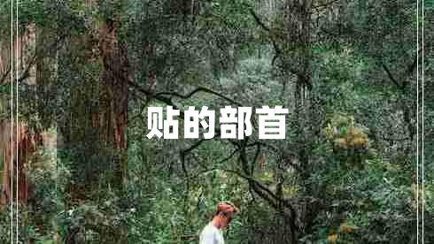 贴的部首