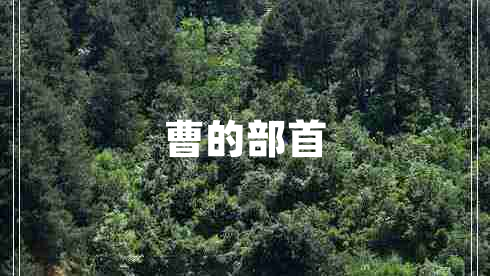 曹的部首