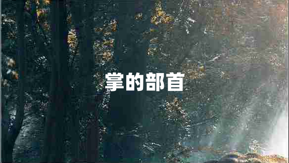 掌的部首