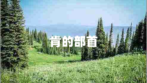 肯的部首 肯的部首