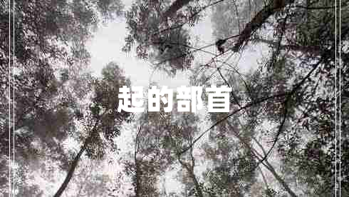 起的部首