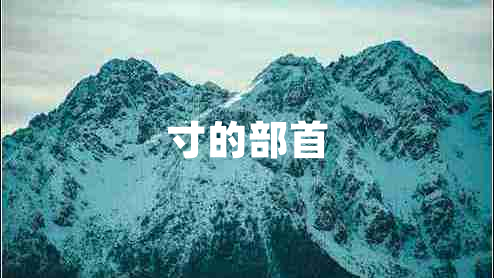 寸的部首