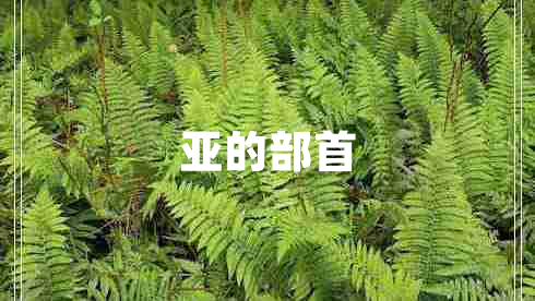 亚的部首