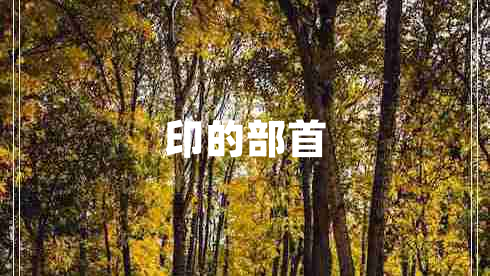印的部首