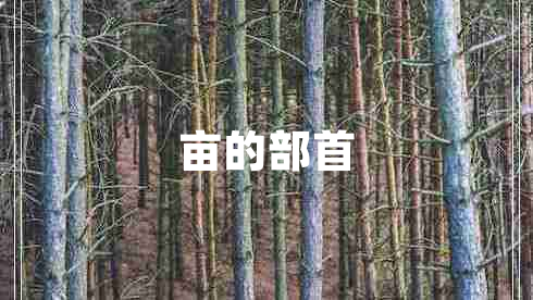 亩的部首