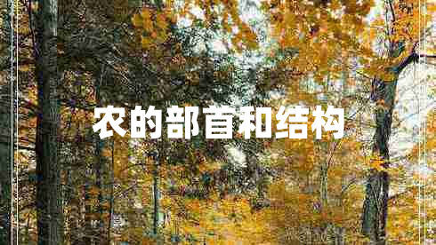 农的部首和结构