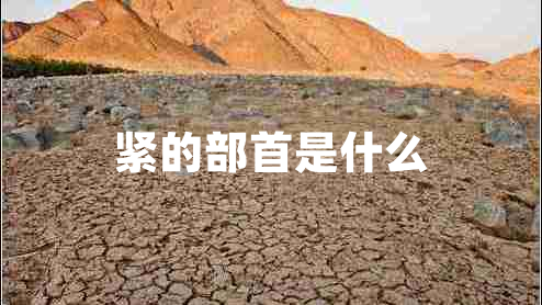 紧的部首是什么 紧的部首是什么