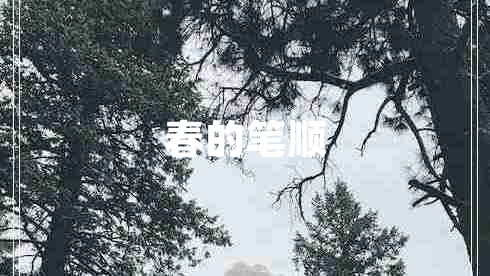 春的笔顺
