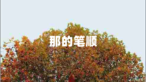 那的笔顺