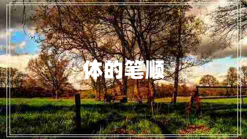 体的笔顺