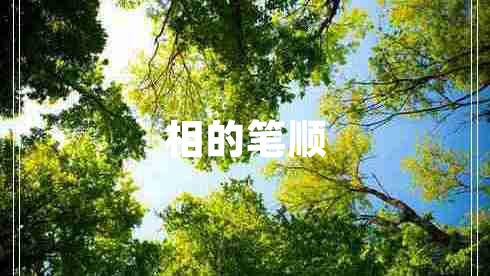 相的笔顺
