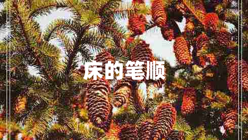 床的笔顺 床的笔顺