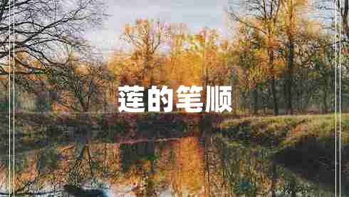 莲的笔顺