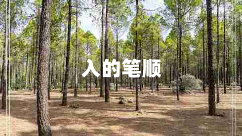 入的笔顺