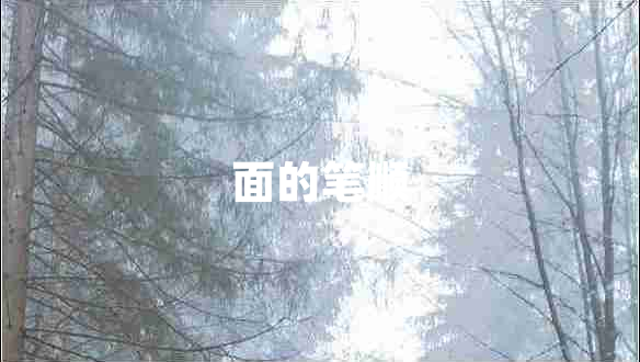面的笔顺
