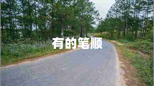 有的笔顺