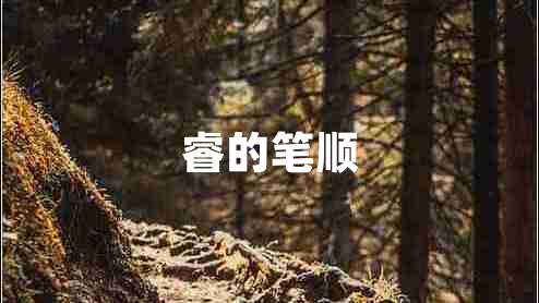 睿的笔顺