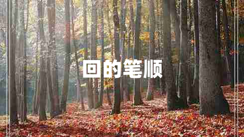 回的笔顺