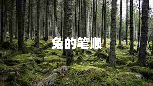 兔的笔顺