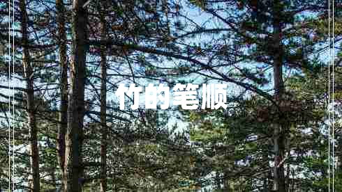 竹的笔顺