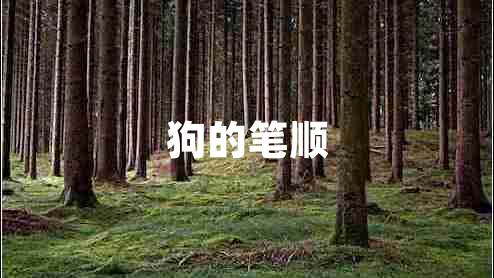 狗的笔顺 狗的笔顺