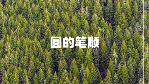 圆的笔顺