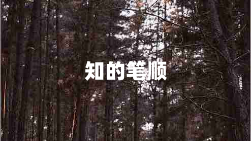 知的笔顺