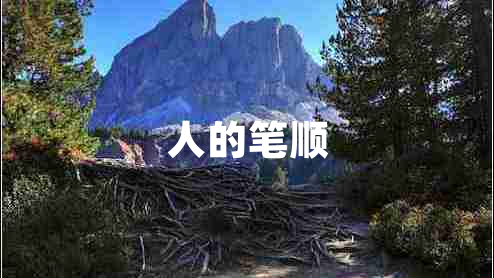 人的笔顺