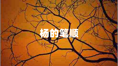 杨的笔顺