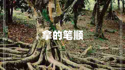 拿的笔顺