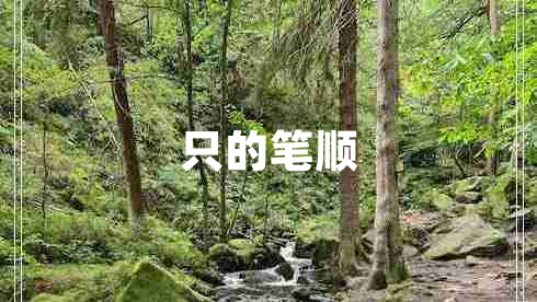 只的笔顺