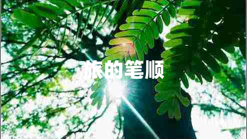 旅的笔顺 旅的笔顺