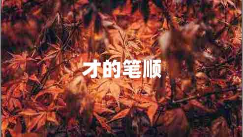 才的笔顺