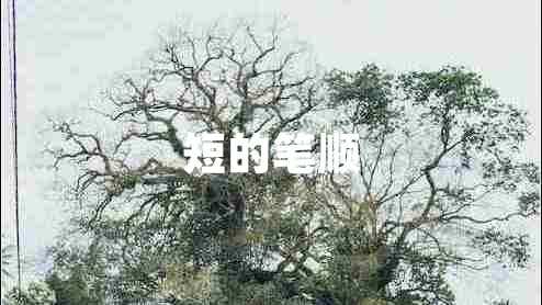 短的笔顺