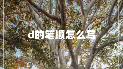 d的笔顺怎么写